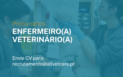 Enfermeiro(a) Veterinário de apoio