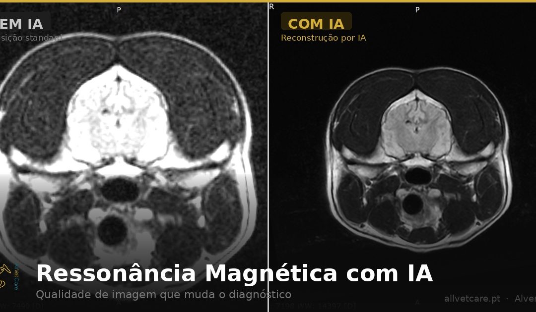 AllVetCare — Ressonância Magnética com IA
