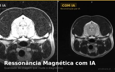 AllVetCare — Ressonância Magnética com IA