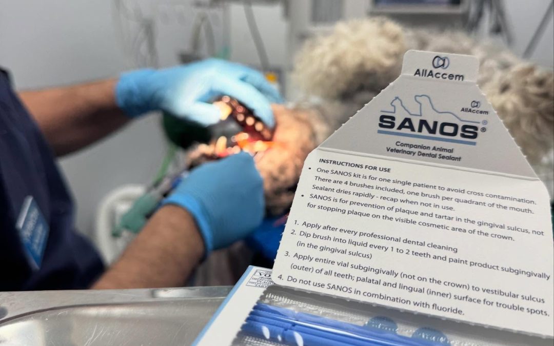 Selantes dentários em cães e gatos