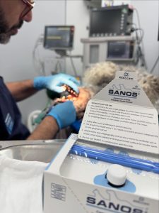 Dentisteria e Odontologia: Selantes dentários em cães e gatos