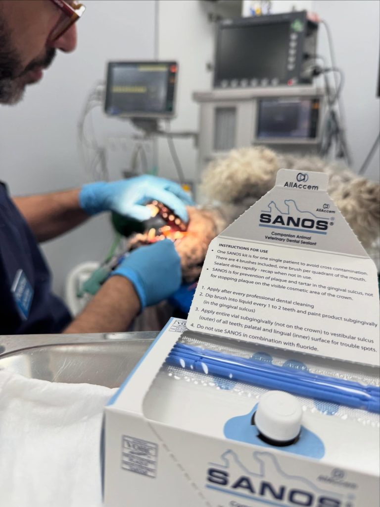 Dentisteria e Odontologia: Selantes dentários em cães e gatos