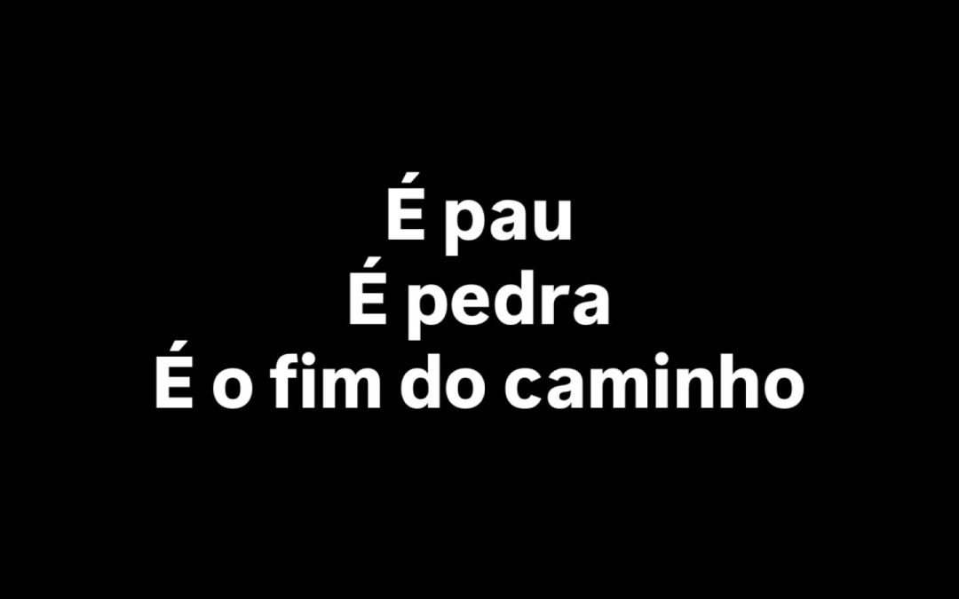 Fraturas dentárias em cães