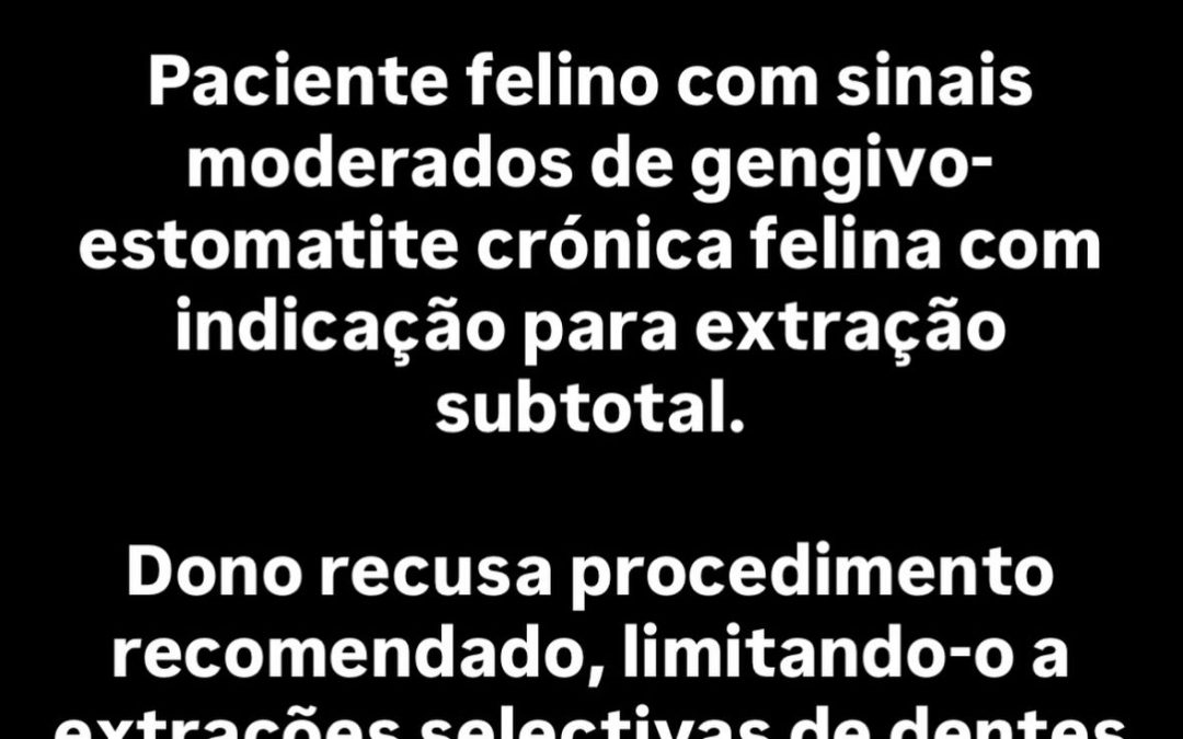 Gengivoestomatite felina e exodontia subtotal