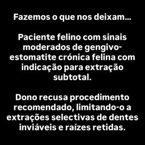Dentisteria e Odontologia: Gengivoestomatite felina e exodontia subtotal (imagem 1 de 6)