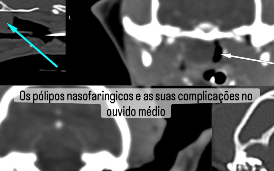 Pólipos nasofaríngeos felinos e otite média