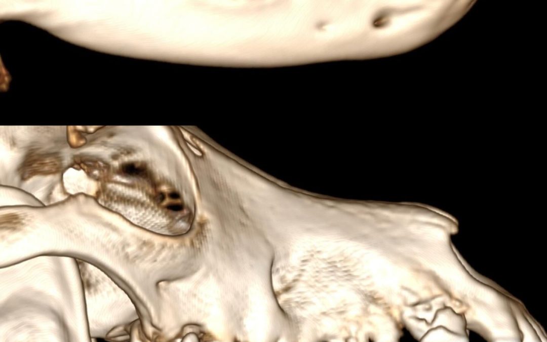 TC na avaliação da doença periodontal