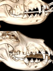 TAC: TC na avaliação da doença periodontal