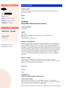 Oncologia: Carcinoma nasal em gatos (imagem 2 de 2)