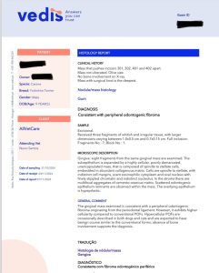 Dentisteria e Odontologia: Fibroma odontogénico periférico em Yorkshire (imagem 3 de 3)