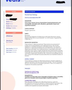 Dentisteria e Odontologia: Granuloma piogénico oral em gatos (imagem 2 de 2)