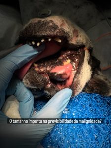 Oncologia: Massa oral benigna com aparência agressiva (imagem 1 de 3)