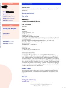 Oncologia: Massa oral benigna com aparência agressiva (imagem 2 de 3)
