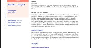Oncologia: Leiomioma retal com obstrução intestinal (imagem 3 de 3)