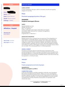 Oncologia: Epúlide ou fibroma odontogénico periférico (imagem 2 de 2)
