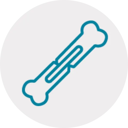 &Iacute;cone de Cirurgia Ortop&eacute;dica