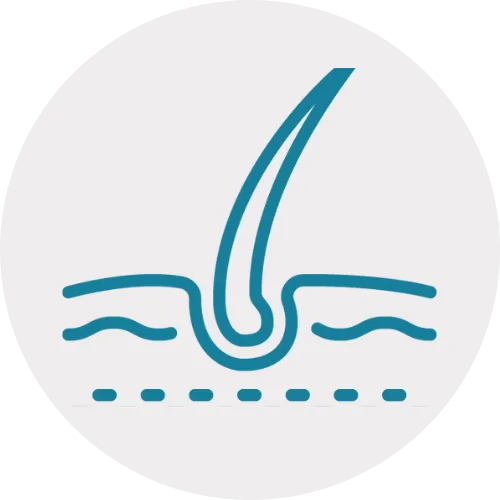 &Iacute;cone de Dermatologia
