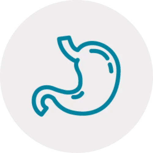 &Iacute;cone de Endoscopia